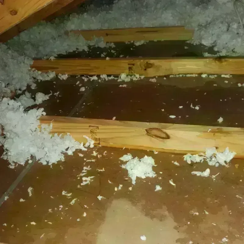 Attic Water Damage in Kearny County, KS