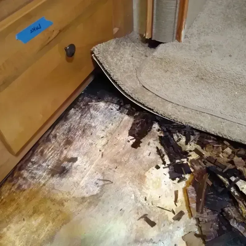 Wood Floor Water Damage in Kearny County, KS